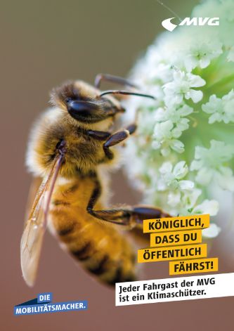 MVG Kampagne Klimaschutz - Motiv Biene
