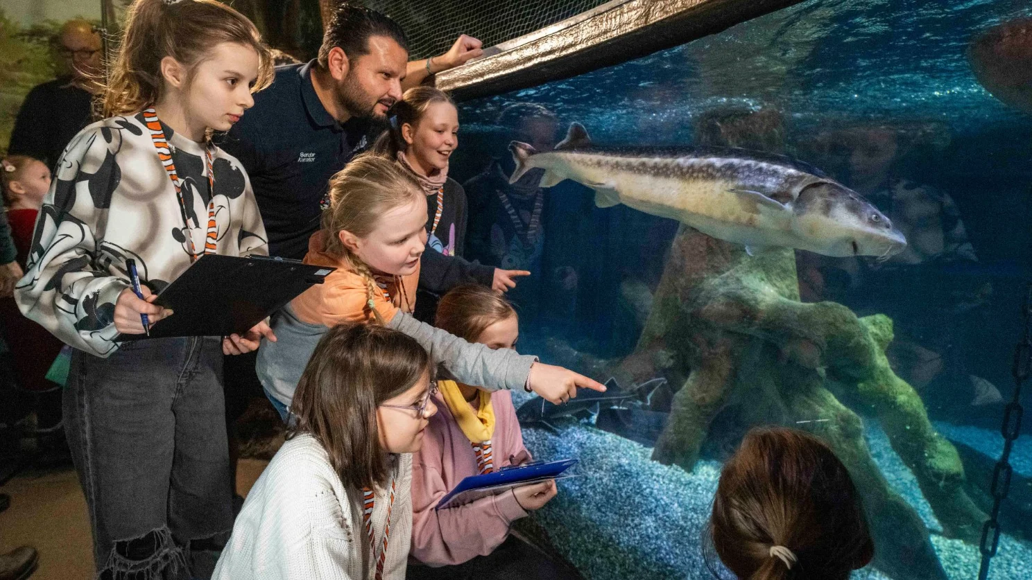 Das SEA LIFE Ticket