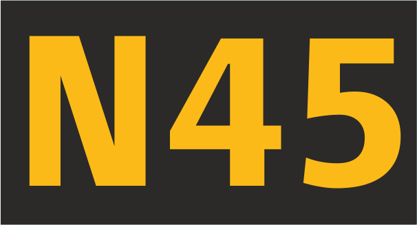 Bus N45