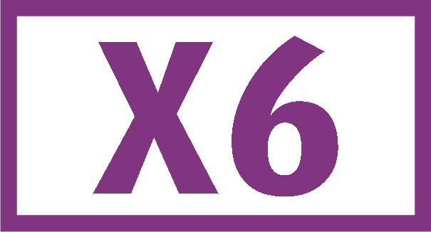SEV X6